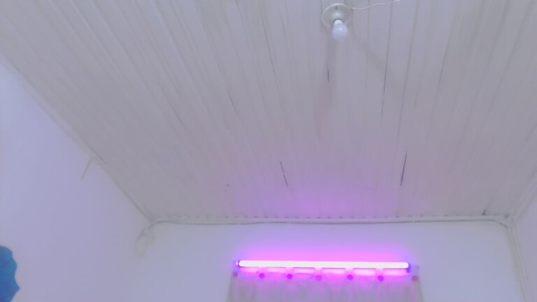 Rebeca_Warner021's Streamate show and profile