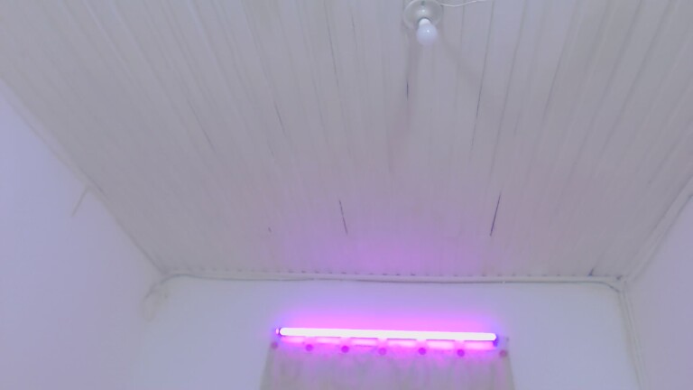 Rebeca_Warner021's Streamate show and profile